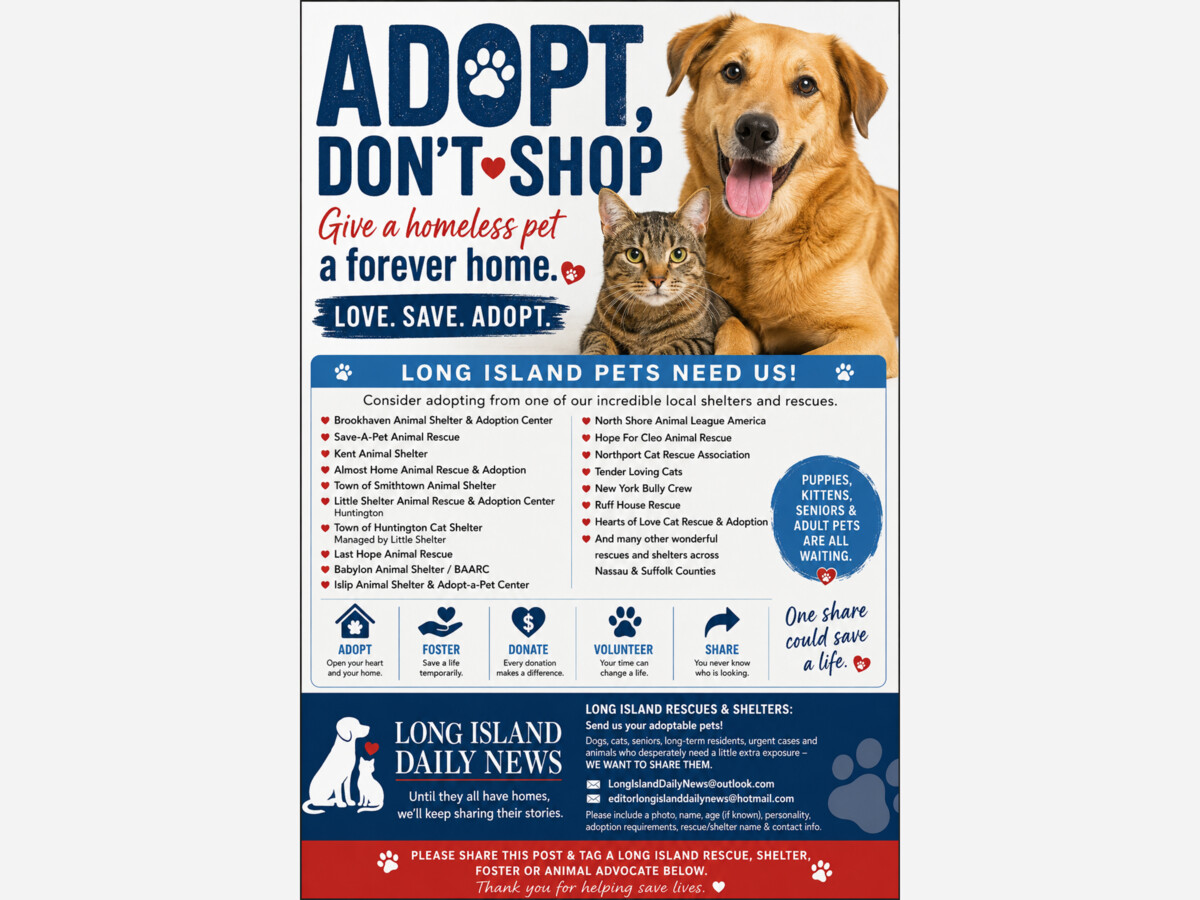 Adopt, Don’t Shop: Long Island Pets Are Waiting for Their Forever Homes