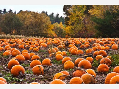 Autumn Adventure Enjoyed By All!!