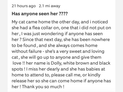 Have you seen this cat?