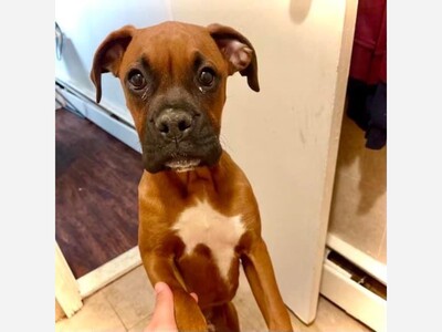 Meet Taffy