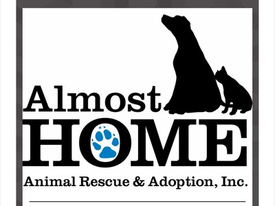 Almost Home Animal Rescue needs cat & dog food 