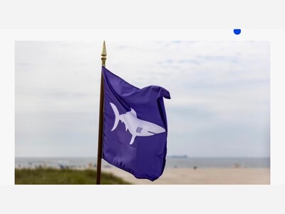 Drones, helicopters, watercraft among shark monitoring systems to get boost off state park beaches