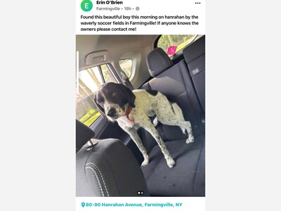 Found in Farmingville 