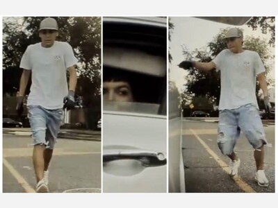 Police say a duo was observed smashing a car window and stealing from it while the vehicle was stopped at a traffic light on Long Island. Watch the video.