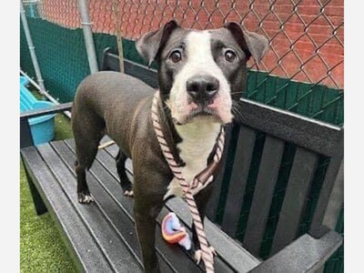 Please save Moon from being murdered 