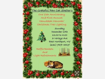 The Grateful Paw Cat Shelter