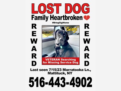 Still missing 
