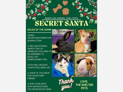 Babylon Animal Shelter Secret Santa 