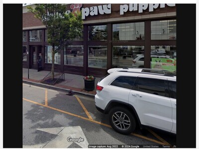  Long Island Pet Store Faces $300K Fine as Attorney General Cracks Down on Sale of Ailing Puppies 