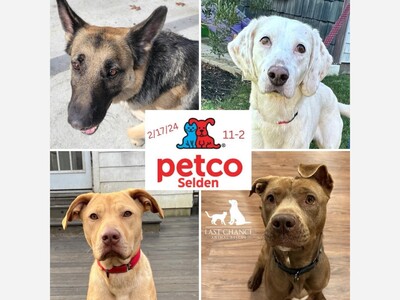 Adoption Event at Selden Petco