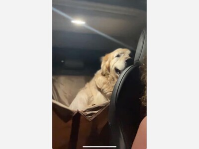 Found in Bay Shore 