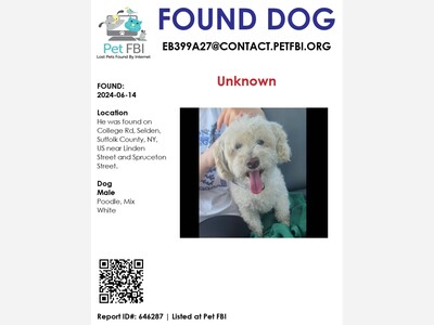 Dog found in Selden off College Road 