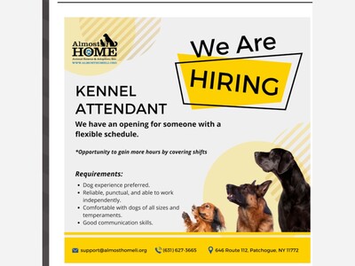 Kennel Assistant 