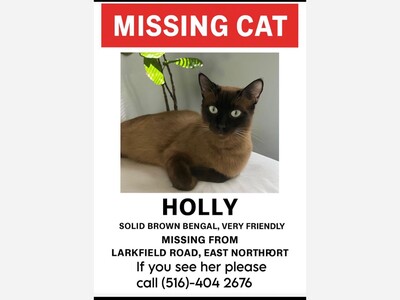 Holly is missing in East Northport 