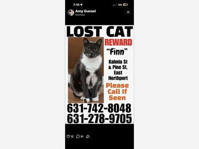 Finn is missing 