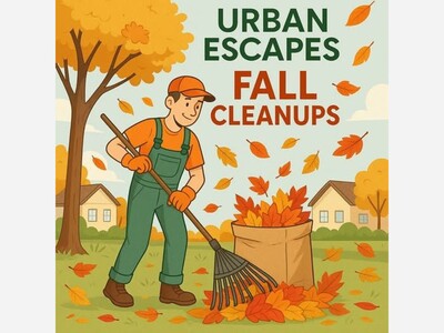 Fall Cleanups 
