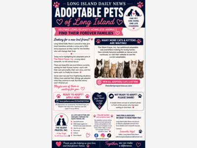 🐾 ADOPTABLE PETS OF LONG ISLAND 🐾