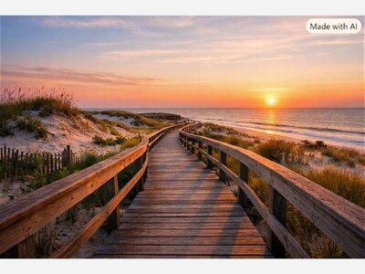 🌅 Fire Island’s Quiet Corners: Exploring the Wilderness Beyond Smith Point