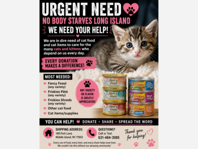 Long Island Cat Rescue Issues Urgent Plea for Food and Supplies
