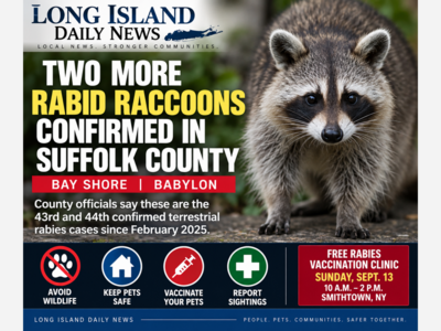 Two More Rabid Raccoons Confirmed in Suffolk County as Officials Warn Residents