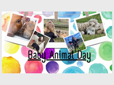Baby Animal Day