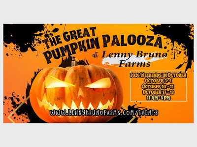 The Great Pumpkin 🎃 Palooza 