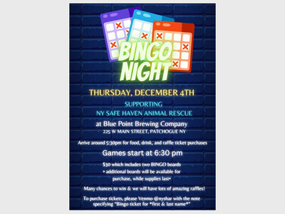 Bingo night animal rescue fundraiser 