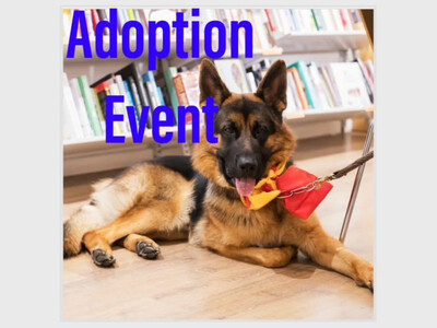 Raw by design adoption event 