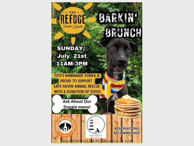 Barkin Brunch 