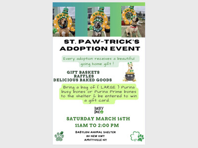 what-to-do-in-mount-sinai-local-events-calendar-long-island-daily-news